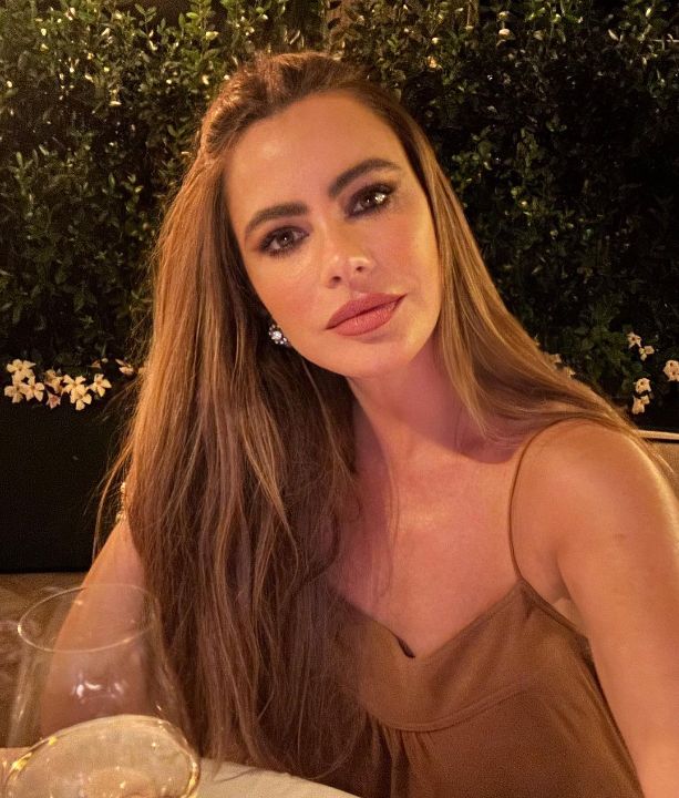 Sofia Vergara is not transgender. blurred-reality.com