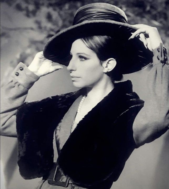 Barbra Streisand achieved success in everything she laid her hands on. blurred-reality.com
