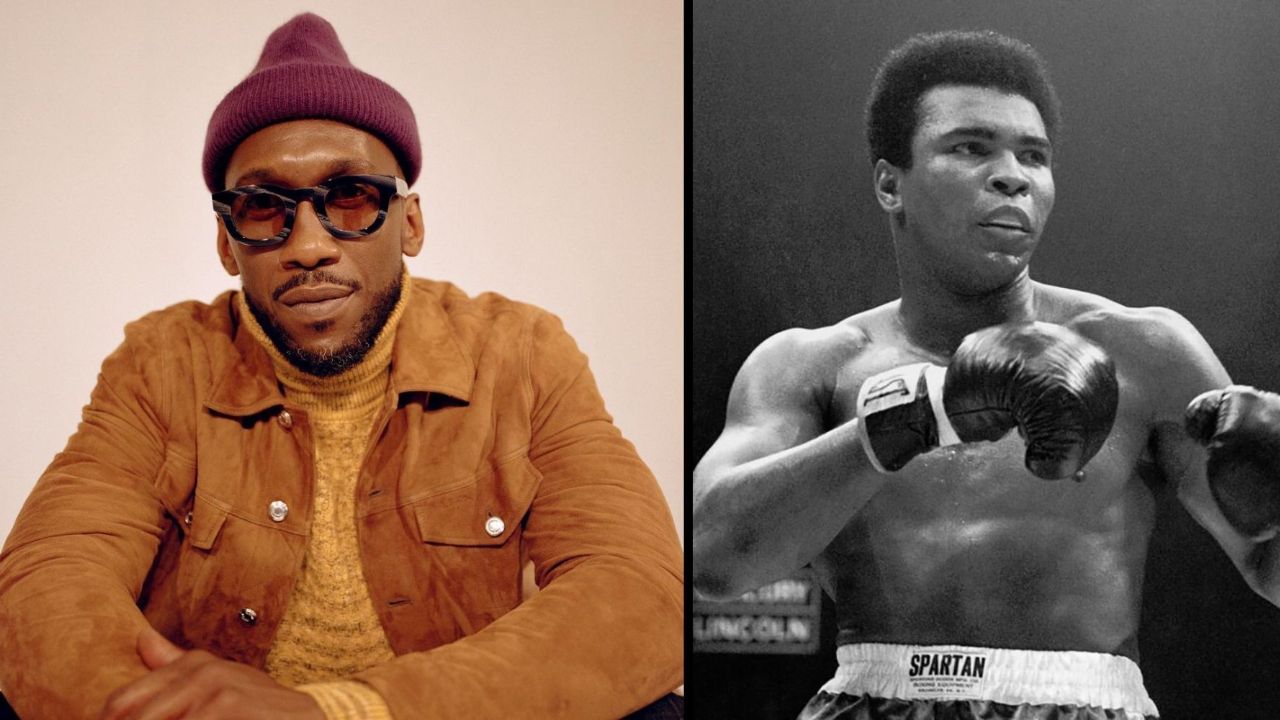 Is Mahershala Ali Related to Muhammad Ali? blurred-reality.com