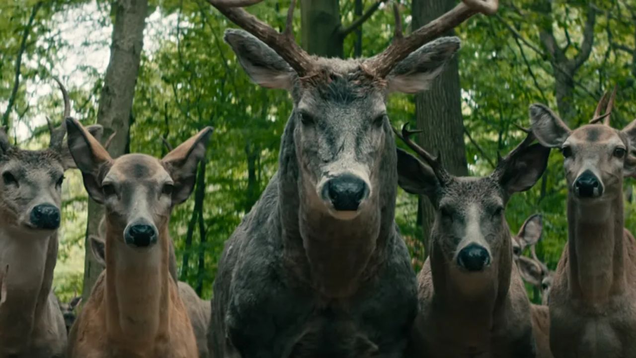 What Is The Meaning Of Seeing Deer In Leave The World Behind Reddit 
