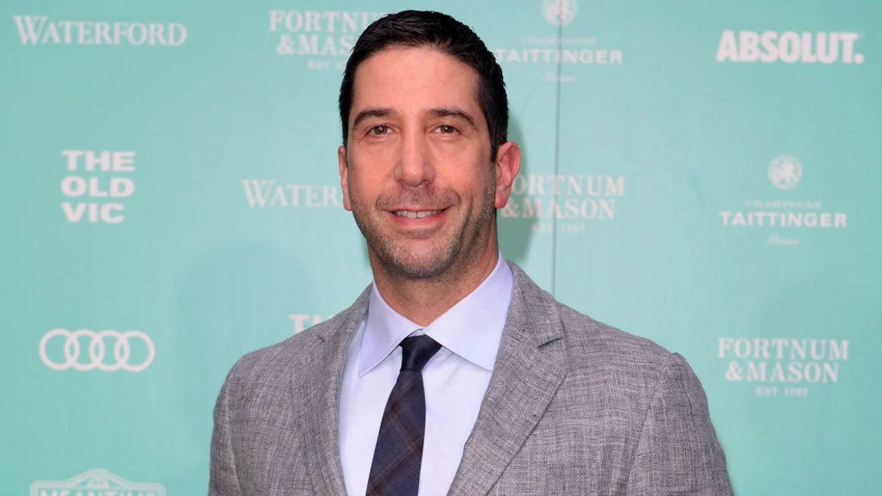 There's a chance David Schwimmer might have a septal deviation. blurred-reality.com