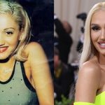 gwen stefani plastic surgery seth meyers